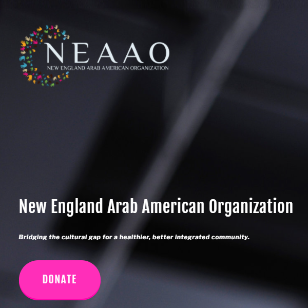 Arabic Speaking Nonprofits Near Me - New England Arab American Organization